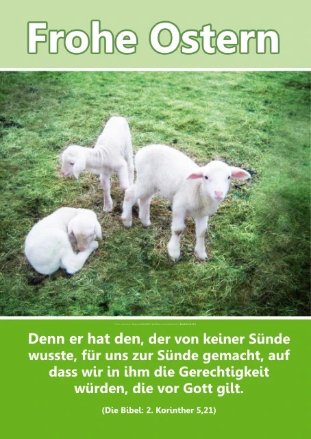 Drei Osterlämmer auf einer Frühlingswiese mit Ostergruß und Bibelvers aus 2. Korinther 5,21 über Gerechtigkeit und Auferstehung