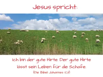 Christliches Poster A2: Am Deich grasende Schafe