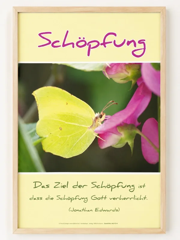 Christliches DIN-A2-Hochformat-Poster „Schöpfung“ mit Zitronenfalter auf einer Blüte und Zitat von Jonathan Edwards in einem hochwertigen Rahmen aus hellem Eichenholz.