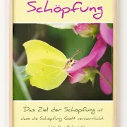 Christliches DIN-A2-Hochformat-Poster „Schöpfung“ mit Zitronenfalter auf einer Blüte und Zitat von Jonathan Edwards in einem hochwertigen Rahmen aus hellem Eichenholz.
