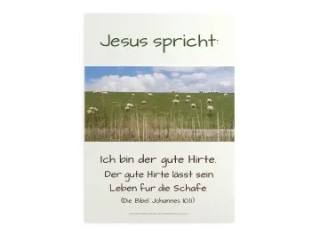 Christliches Poster A2 Hochformat: Am Deich grasende Schafe