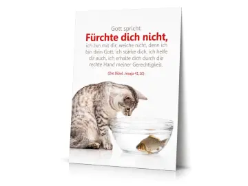 Christliches Poster A2 Hochformat: Katze beobachtet Fisch in Wasserschale