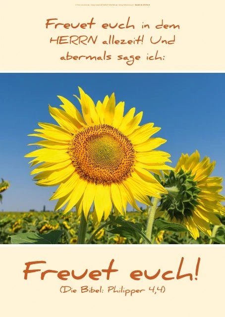 Leuchtende Sonnenblume mit Bibelvers Philipper 4,4 „Freuet euch in dem Herrn allezeit“ auf christlichem Poster im Hochformat