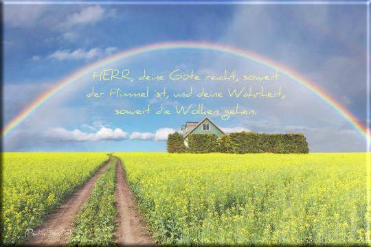 Christlicher Leinwanddruck: Regenbogen über Rapsfeld - Landschaftsmotiv
