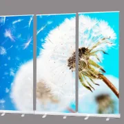 Rollup-Dsiplay für Trauerhalle mit modernem Design Pusteblume - Bestatterbedarf