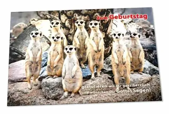 Christliche Geburtstagskarte: Erdmännchen-Rudel