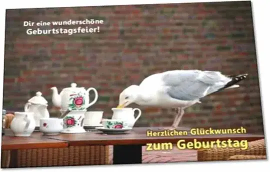 Christliche Geburtstagskarte: Möwe auf Tisch
