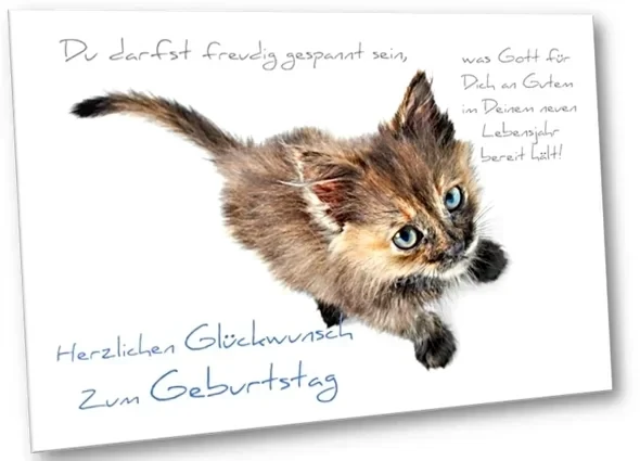 Geburtstagskarte: Schwarz-rotes Kätzchen