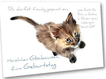 Geburtstagskarte: Schwarz-rotes Kätzchen