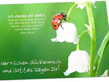 Glückwunschkarte: Marienkäfer auf Maiglöckchen