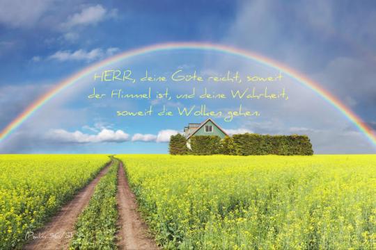 Kühlschrankmagnet - Regenbogen über Rapsfeld