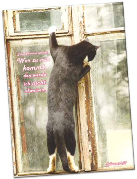 Kühlschrankmagnet Jahreslosung 2022: Am Fenster stehende Katze