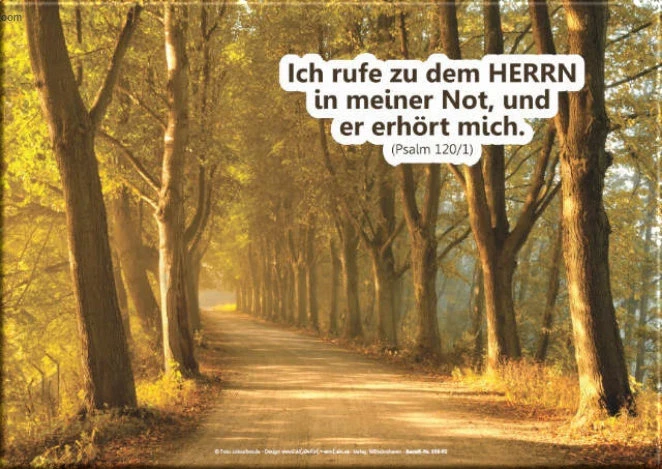 Leinwanddruck der Baumallee mit Bibelvers ‚Ich rufe zu dem HERRN in meiner Not, und er hört mich.‘ – ruhige Baumallee auf weißem Hintergrund, pur ohne Rauminszenierung