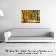 Leinwanddruck der Baumallee ohne Bibelvers an der Wand über Sofa und Stehlampe – eingerichteter Musterraum