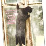 Leinwanddruck Jahreslosung 2022: Am Fenster stehende Katze
