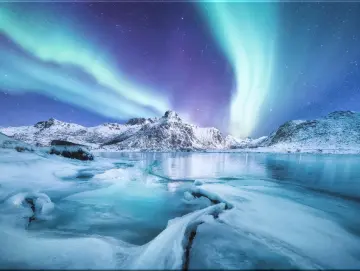 Leinwanddruck: Polarlichter über den Lofoten, Norwegen