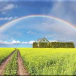 Leinwanddruck: Regenbogen über Rapsfeld tolles Landschaftsmotiv