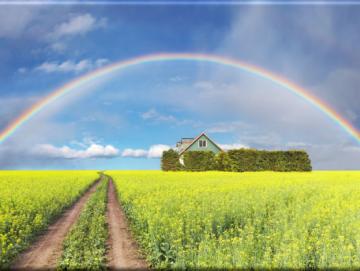 Leinwanddruck: Regenbogen über Rapsfeld - Landschaftsmotiv