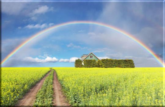 Leinwanddruck: Regenbogen über Rapsfeld tolles Landschaftsmotiv