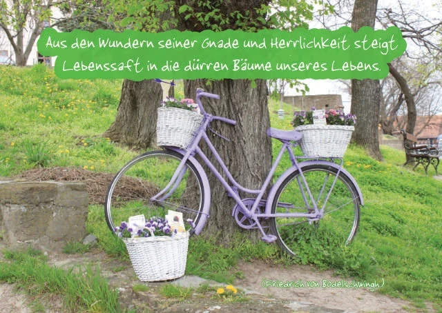 Chrstliche Poster A2 -Set 32 Schaukasten-Plakate