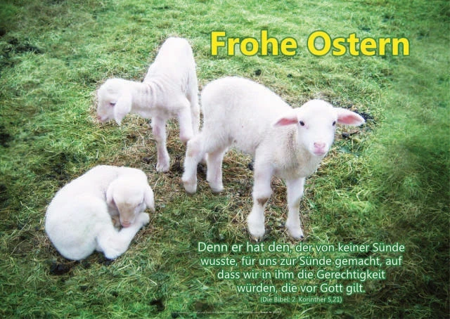 Chrstliche Poster A2 -Set 32 Schaukasten-Plakate