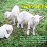 Chrstliche Poster A2 -Set 32 Schaukasten-Plakate