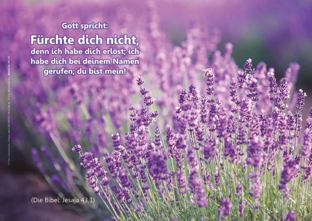 Chrstliche Poster A2 -Set 32 Schaukasten-Plakate