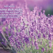 Chrstliche Poster A2 -Set 32 Schaukasten-Plakate