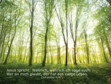 Christliches Poster A2: Lichtdurchfluteter Frühlingswald