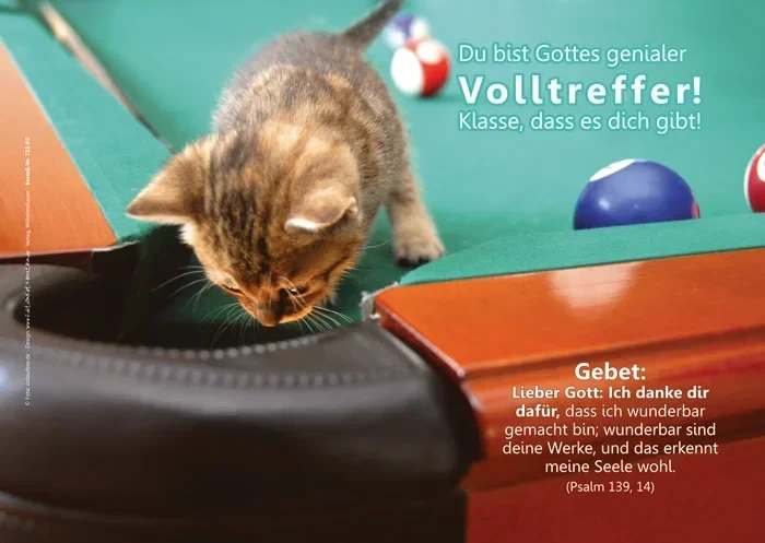 Poster A3 - Kätzchen auf Billiardtisch