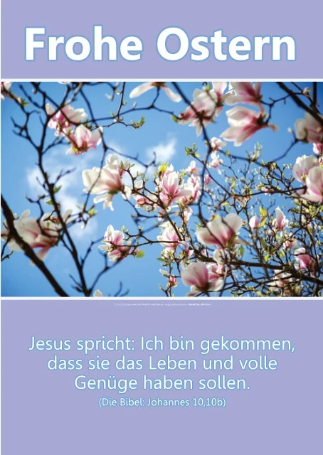 Magnolienblüten im Frühlingslicht mit Bibelvers Johannes 10,10b auf christlichem Osterposter im Hochformat