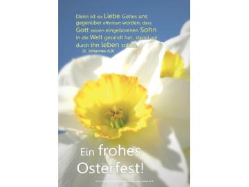 Poster Ostern A2 - Narzissenblüte II