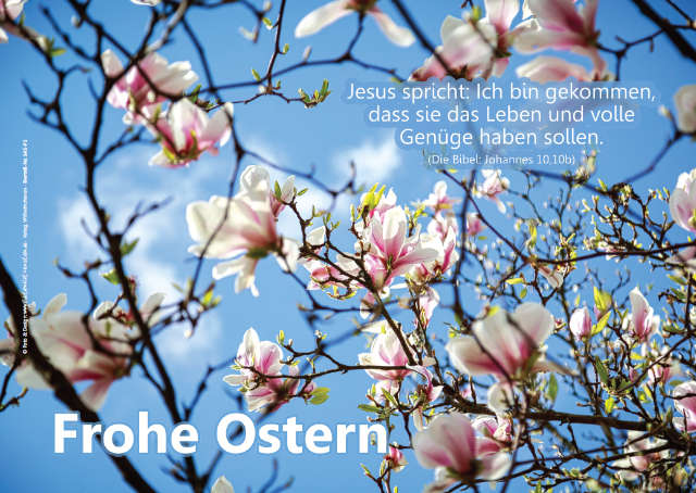 Poster Ostern A2 - Magnolienblüten