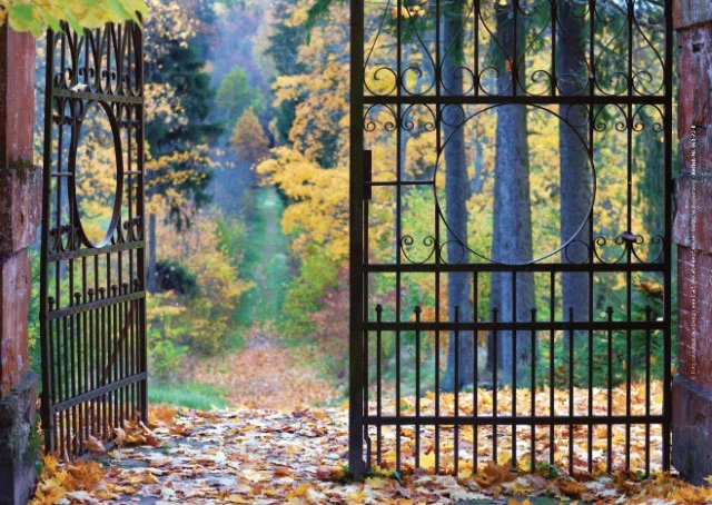 Historisches Parktor im Herbst, geöffnet, mit Laub und warmen Tönen.