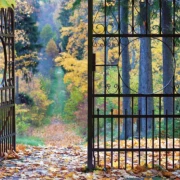 Historisches Parktor im Herbst, geöffnet, mit Laub und warmen Tönen.