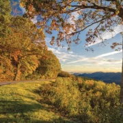 Landschaft mit intensiven Herbstfarben und weichem Licht.