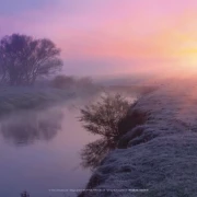 Stille Flusslandschaft bei sanftem Morgenlicht mit weicher Wasserbiegung.