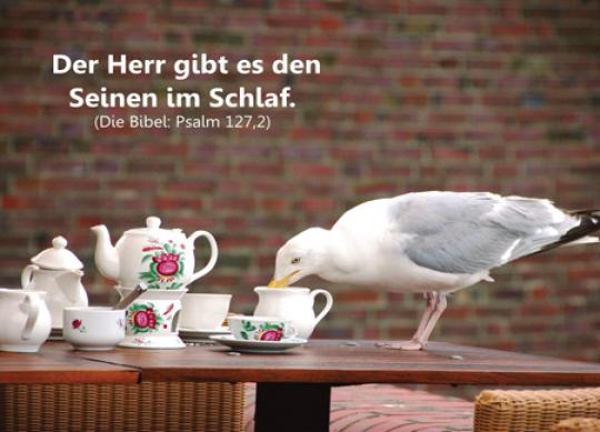Christliche Postkarte:  Möwe auf Café-Tisch