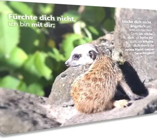 Christliche Postkarte: Baby-Erdmännchen