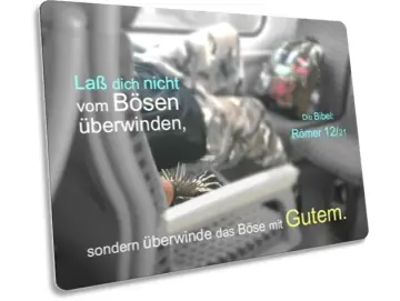Postkarte: Bahnreisender mit Stachelarmband