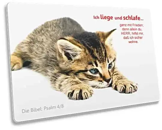 Christliche Postkarte: Dösendes Kätzchen