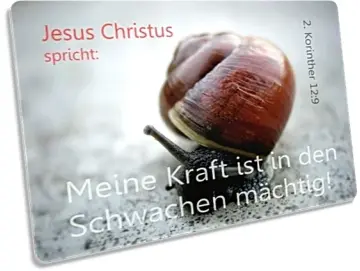 Postkarte Jahreslosung 2012: Kleine Schnecke