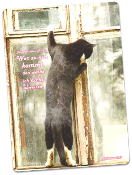 Postkarte Jahreslosung 2022: Am Fenster stehende Katze