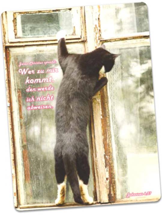 Christliche Postkarte - Am Fenster stehende Katze