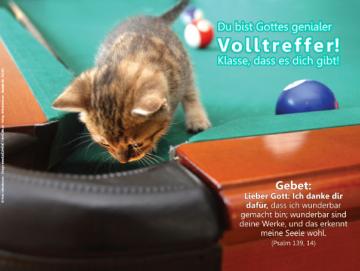 Postkarte: Kätzchen auf Billiardtisch