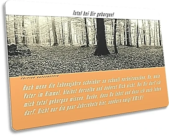 Postkarte: Morgenwald