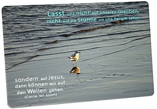 Christliche Postkarte: Möwe am Meeresufer