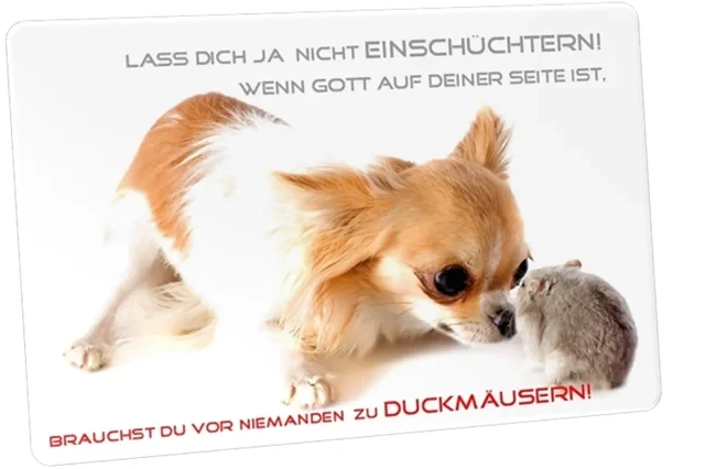 Postkarte: Nager von Hund bedroht