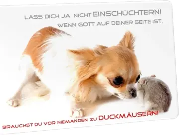 Postkarte: Nager von Hund bedroht