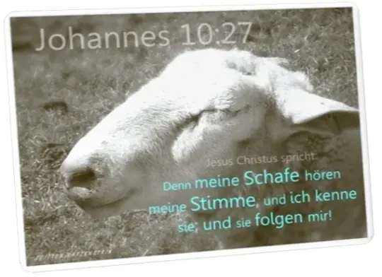 Christliche Postkarte: Schaf - Johannes 10,27